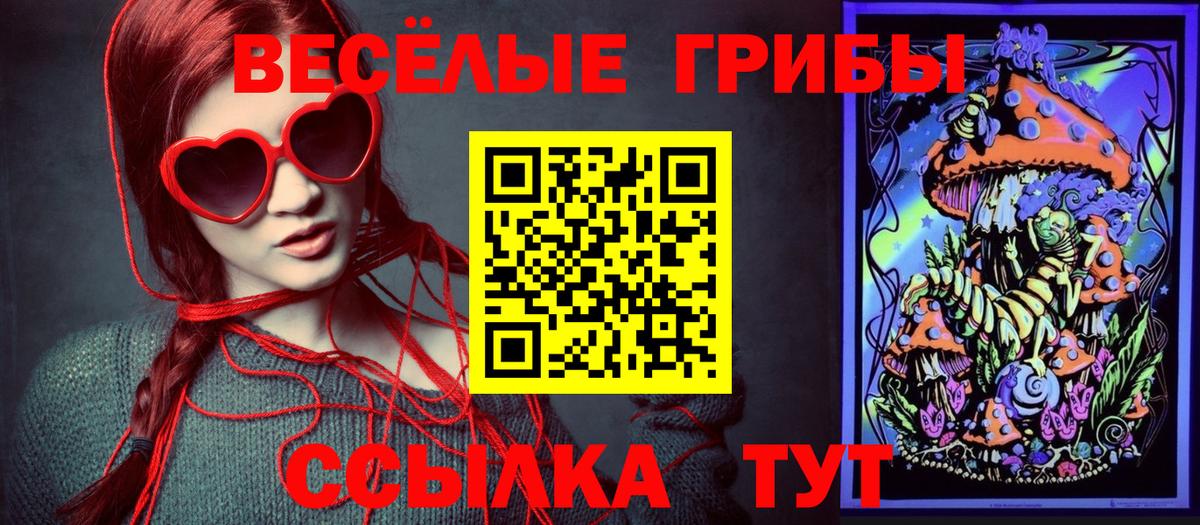 Псилоцибиновые грибы GOLDEN TEACHER  Галлюциногенные грибы Cubensis  Ливны  Вход с VPN 